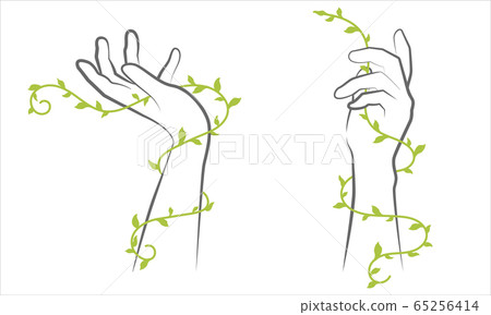 Hand minimalist and vine with geometric doodle Abstract floral elements. Free hand drawing - natural concept 65256414