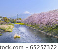 Junigawa Ryu Ganbuchi cherry blossoms and Mt. Fuji 65257372