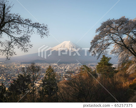 早晨從秘密地點拍攝的富士山 早晨從秘密地點拍攝的富士山 65257375