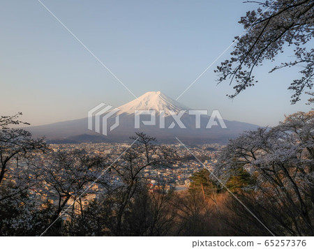 早晨從秘密地點拍攝的富士山 65257376
