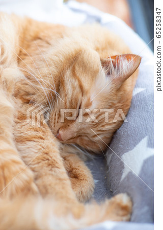 睡個好覺 65258347