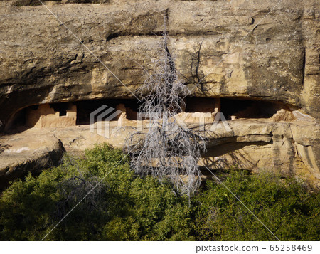 梅薩維德 65258469