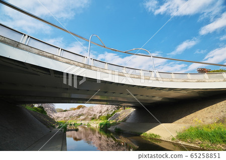 盛開的山崎河，新水橋 65258851