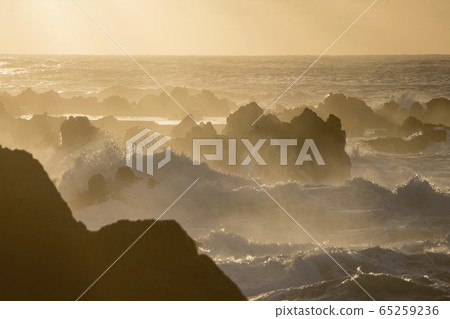 PORTUGAL MADEIRA PORTO MONIZ COAST PORTUGAL MADEIRA PORTO MONIZ COAST 65259236