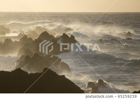 PORTUGAL MADEIRA PORTO MONIZ COAST 65259239