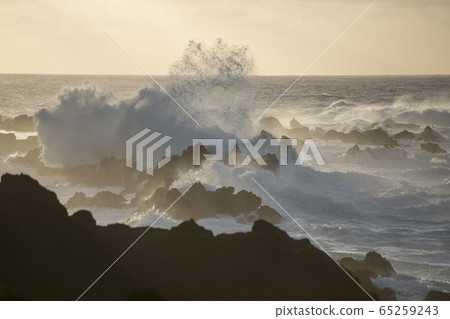 PORTUGAL MADEIRA PORTO MONIZ COAST PORTUGAL MADEIRA PORTO MONIZ COAST 65259243