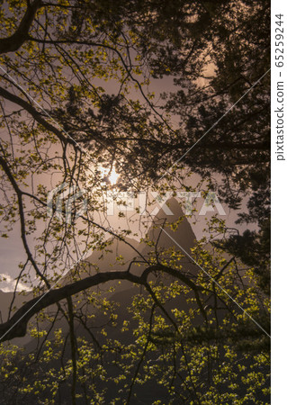 PORTUGAL MADEIRA SERRA DE AGUA LANDSCAPE 65259244