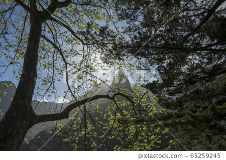 PORTUGAL MADEIRA SERRA DE AGUA LANDSCAPE 65259245