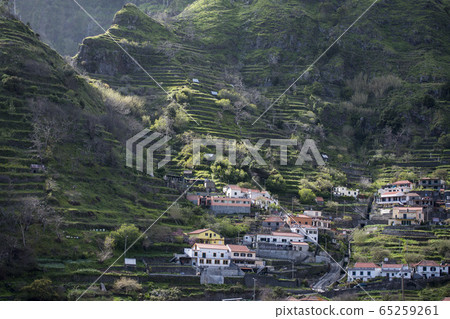 PORTUGAL MADEIRA SERRA DE AGUA LANDSCAPE 65259261