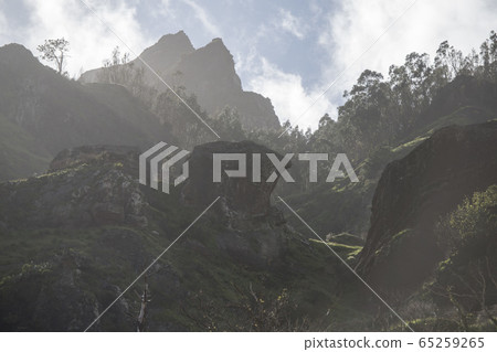 PORTUGAL MADEIRA SERRA DE AGUA LANDSCAPE 65259265