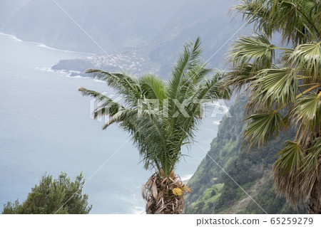 PORTUGAL MADEIRA RIBEIRA DA JANELA 65259279