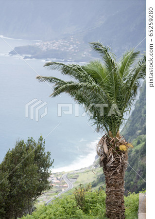 PORTUGAL MADEIRA RIBEIRA DA JANELA 65259280