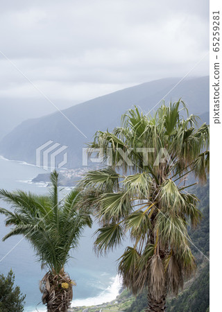 PORTUGAL MADEIRA RIBEIRA DA JANELA 65259281