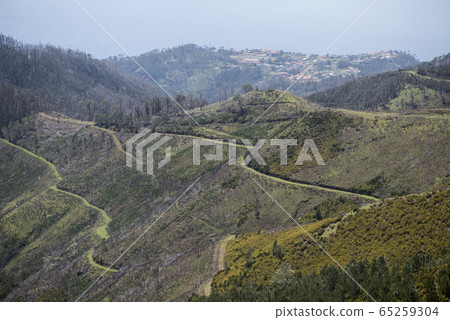 PORTUGAL MADEIRA RIBEIRA DA JANELA PORTUGAL MADEIRA RIBEIRA DA JANELA 65259304