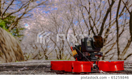櫻花春天晴天無人機季節廣島九州西知宮宮崎崎島旅行廣告材料SNS 櫻花春天晴天無人機季節廣島九州西知宮宮崎崎島旅行廣告材料SNS 65259846