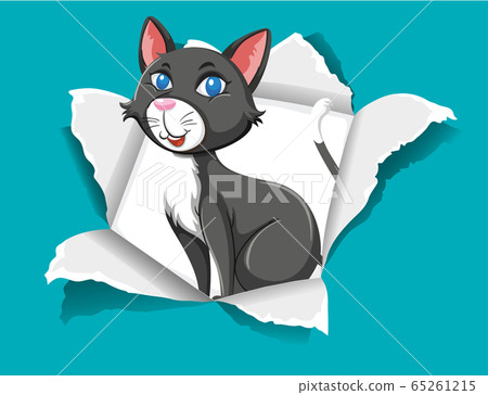 Background template design with cat on blue paper Background template design with cat on blue paper 65261215