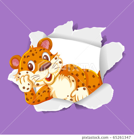 Background template design with wild tiger on - Stock Illustration ...