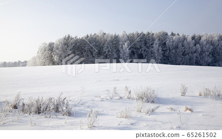 landscape in the winter time 65261502