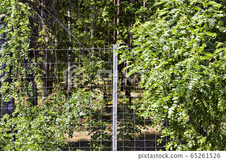 metal fences 65261526
