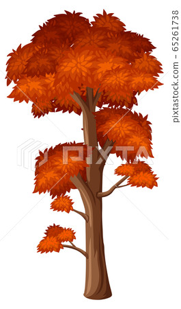 One big tree on white background 65261738