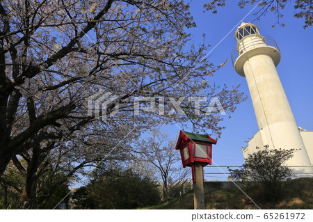 Arao City Yotsuyama Shrine Cherry blossoms, Arao City Yotsuyama Shrine Cherry blossoms, 65261972