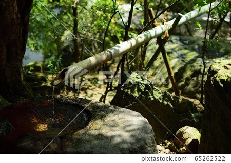 Bamboo water drops Bamboo water drops 65262522