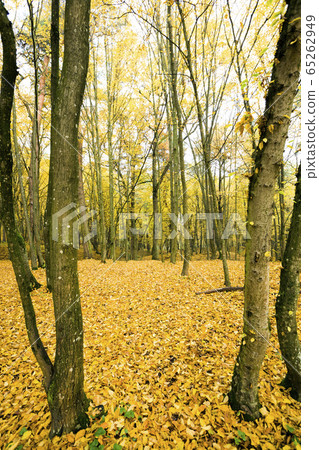 the dull weather the dull weather 65262949