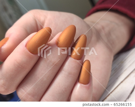 Christmas Nail art manicure. Winter Holiday style 65266155