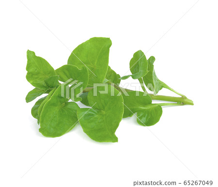 fresh watercress isolated on white background 65267049
