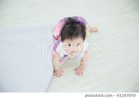 嬰兒爬行 65267650