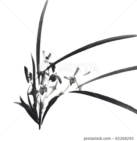 蘭花水墨畫-插圖素材[65268293] - PIXTA圖庫