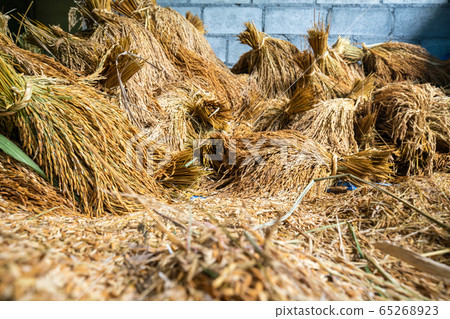 Paddy rice keep in traditional barn 65268923