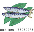 Hand drawn style mackerel illustration B 65269273
