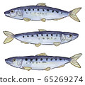 Hand drawn style mackerel illustration A 65269274