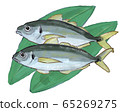 Hand drawn style horse mackerel illustration B 65269275