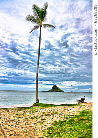 Kualoa Regional Park 65269289