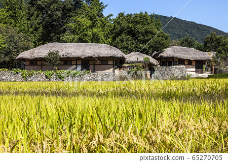 Ooamri Folk Village 65270705