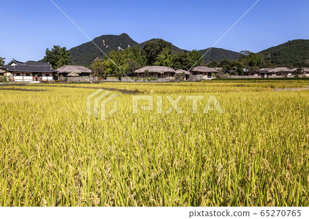 Ooamri Folk Village Ooamri Folk Village 65270765