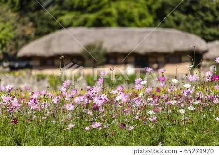 Ooamri Folk Village Ooamri Folk Village 65270970