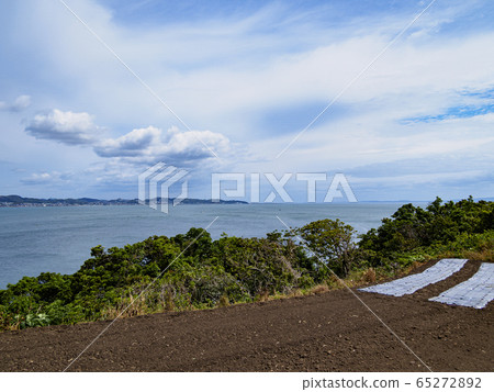 場(初夏) 場(初夏) 65272892