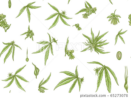Hemp, Cannabis seamless pattern, background. Hemp, Cannabis seamless pattern, background. 65273078