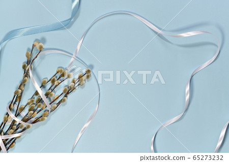 A bouquet of willow twigs with fluffy buds with 65273232