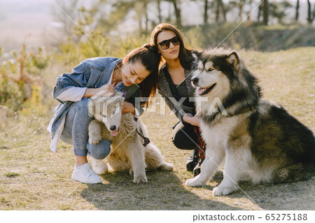 Two stylish girls in a spring field with a dog Two stylish girls in a spring field with a dog 65275188