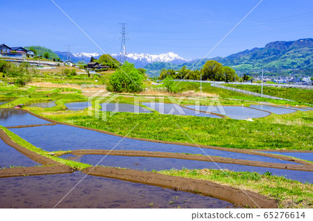 Tanigawadake and cute rice terraces 65276614