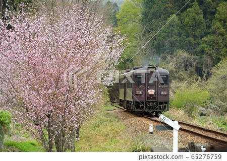 A trip along the Watarase Gorge Railway 65276759