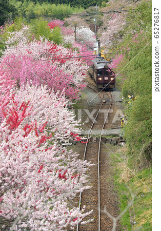 A trip along the Watarase Gorge Railway A trip along the Watarase Gorge Railway 65276817