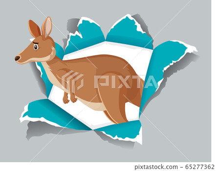Background template design with wild kangaroo on 65277362
