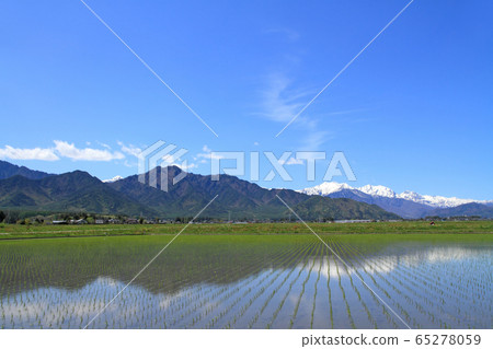 可能在北阿爾卑斯山腳下 65278059