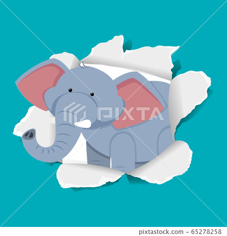 Background template design with wild elephant on - Stock Illustration ...