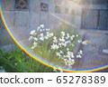 Sumarit 50 f1.5 Spalux flower 65278389